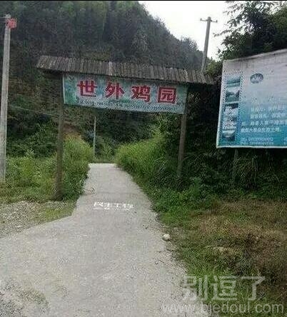 不知道里面都有什么服务 不知道里面都有什么服务