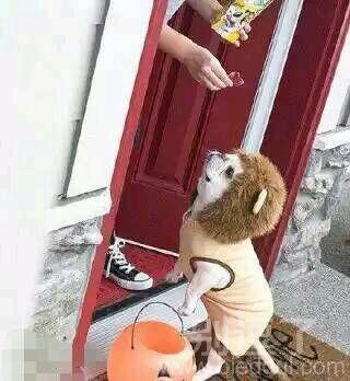 为了生计不得不这样