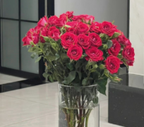 隐晦的表达我爱你的唯美短句 比较隐晦的表白句子