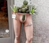 这个有点...很有想法