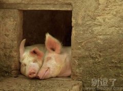 幸福其实很简单的！