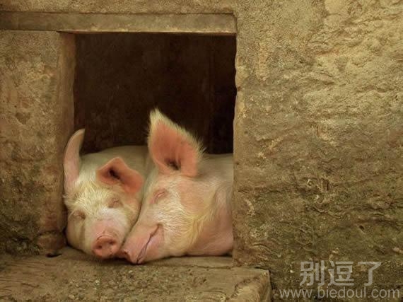 幸福其实很简单的！