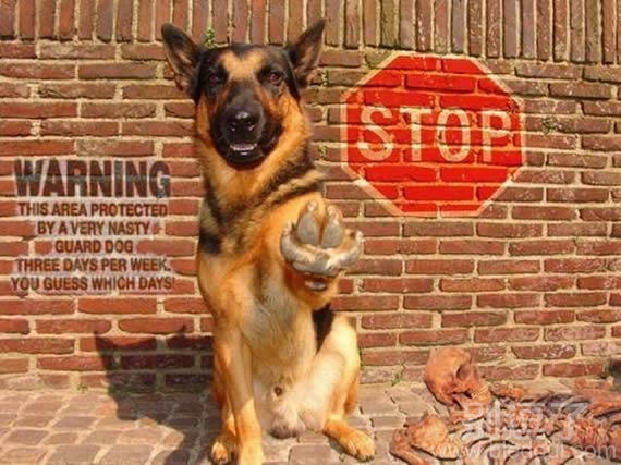 STOP，这是我的地盘！