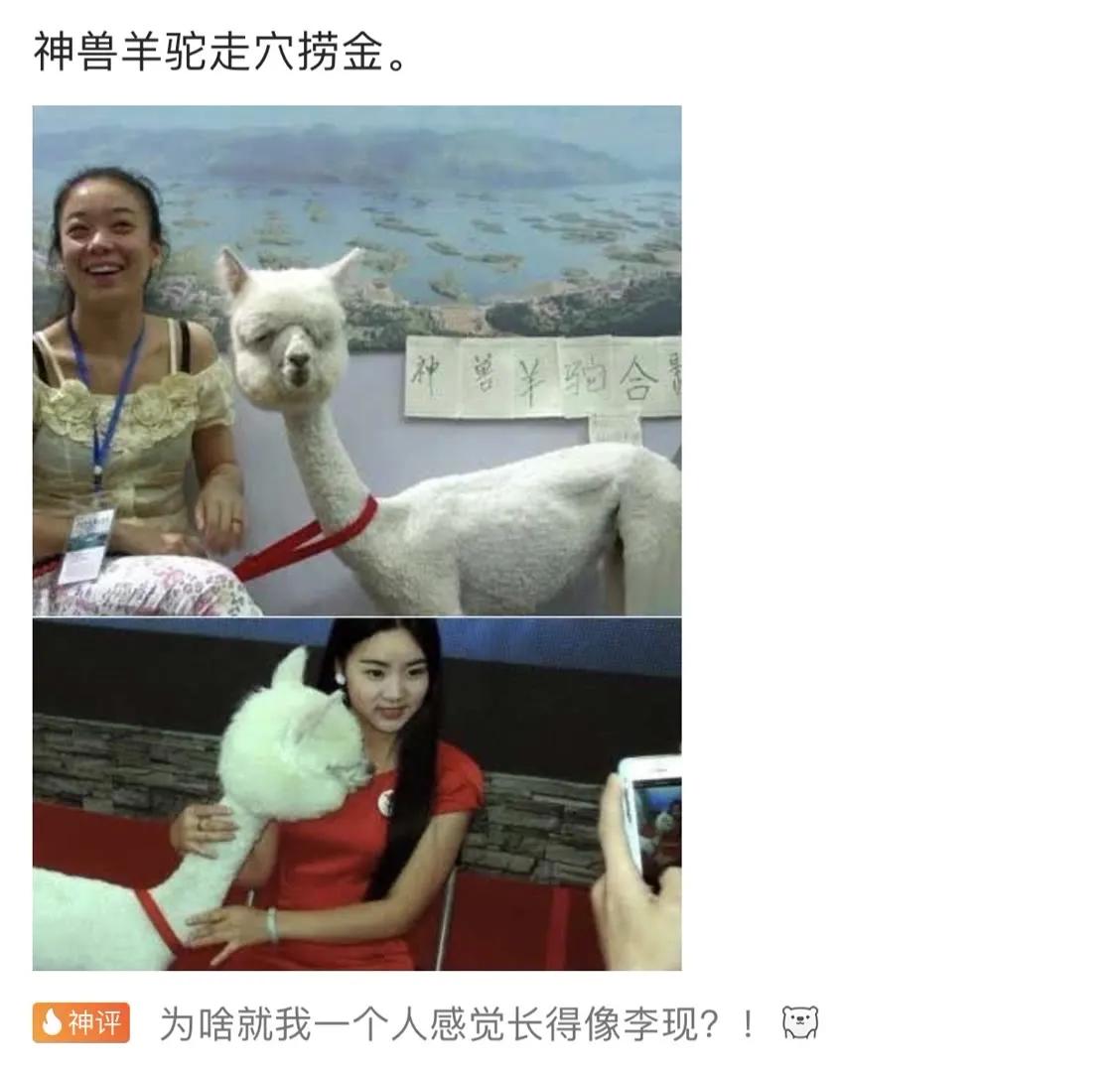 “看到马总化腾的女儿,真是漂亮又多金!”思聪配不上吧哈哈哈哈 “看到马总化腾的女儿,真是漂亮又多金!”思聪配不上吧哈哈哈哈