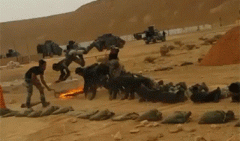 原来好的特种兵竟然是这样练出来的