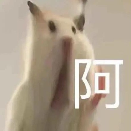 轻松一刻:月薪三千应该感到满足吗? 轻松一刻:月薪三千应该感到满足吗?