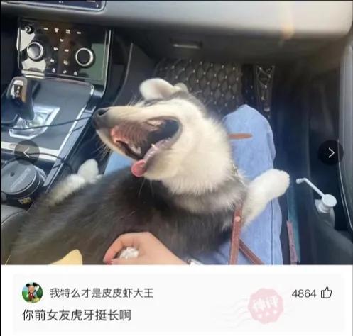 神回复:身体上的哪些迹象表明你正在衰老? 神回复:身体上的哪些迹象表明你正在衰老?