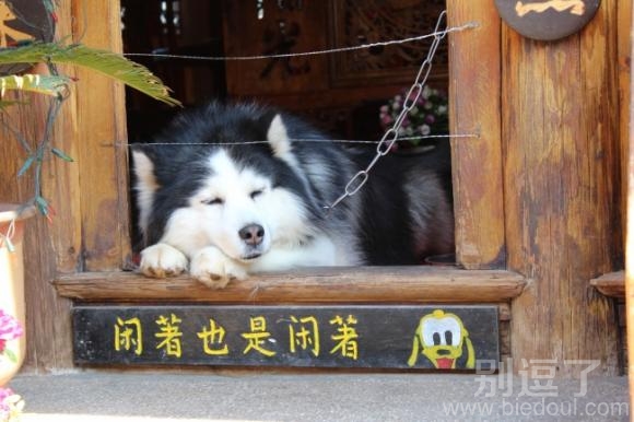 反正闲着也是闲着