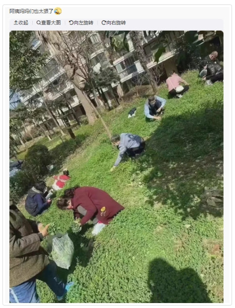轻松一刻:本以为大妈就够野了,没想到大爷更疯狂 轻松一刻:本以为大妈就够野了,没想到大爷更疯狂