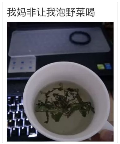 轻松一刻:本以为大妈就够野了,没想到大爷更疯狂 轻松一刻:本以为大妈就够野了,没想到大爷更疯狂