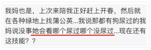 轻松一刻:本以为大妈就够野了,没想到大爷更疯狂 轻松一刻:本以为大妈就够野了,没想到大爷更疯狂