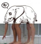 你看到的大象