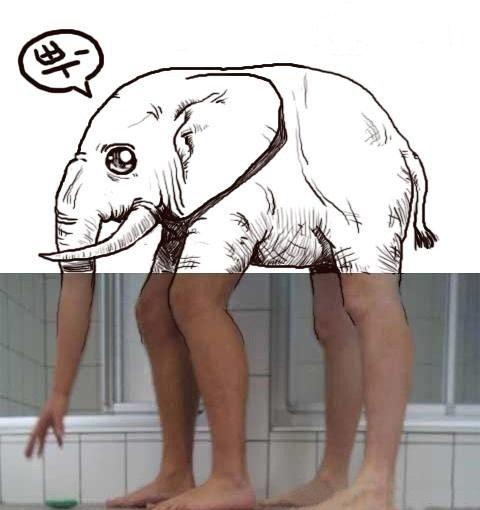 你看到的大象 你看到的大象