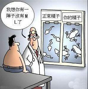 太久ML的后果 太久ML的后果