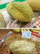 这榴莲要怎么吃呀 这榴莲要怎么吃呀