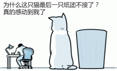感动到哭的原因啊 感动到哭的原因啊