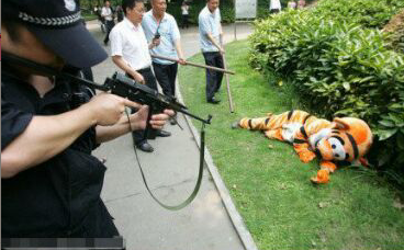 为了不让老虎越狱,给的下马威,你们是在侮辱老虎的智商 为了不让老虎越狱,给的下马威,你们是在侮辱老虎的智商