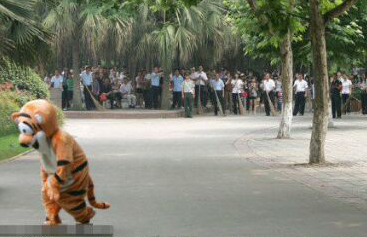 为了不让老虎越狱,给的下马威,你们是在侮辱老虎的智商 为了不让老虎越狱,给的下马威,你们是在侮辱老虎的智商