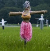 这是我见过最性感的稻草人