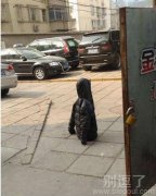 这衣服成精了。。吗？