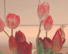 很美的又很文艺的文案 小清新文艺的长句子