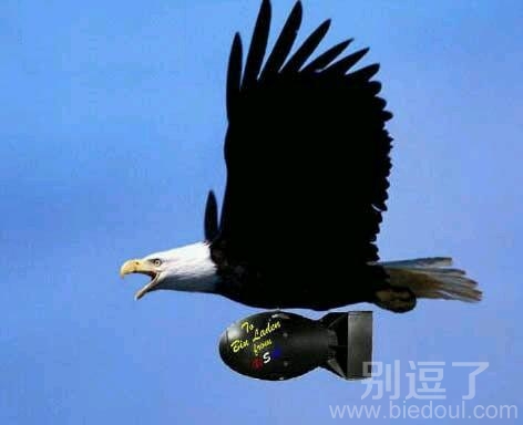 一个鹰投炸弹。。 一个鹰投炸弹。。