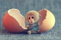 论蛋的内外。。。 论蛋的内外。。。