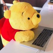 可爱呆萌的小熊维尼 可爱呆萌的小熊维尼
