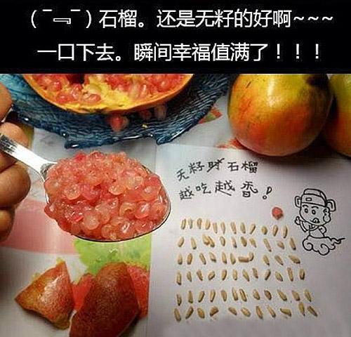 石榴还是无籽的好! 石榴还是无籽的好!