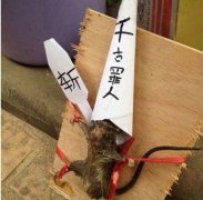 千古罪人！斩