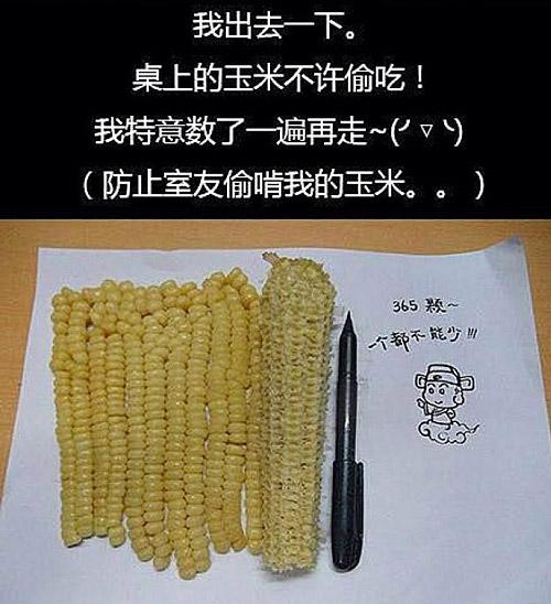 谁也别动！