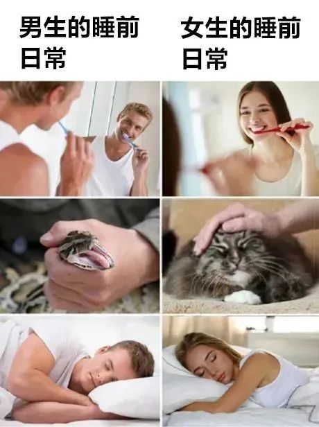轻松一刻:这个响亮的大逼斗,震动了整个世界 轻松一刻:这个响亮的大逼斗,震动了整个世界