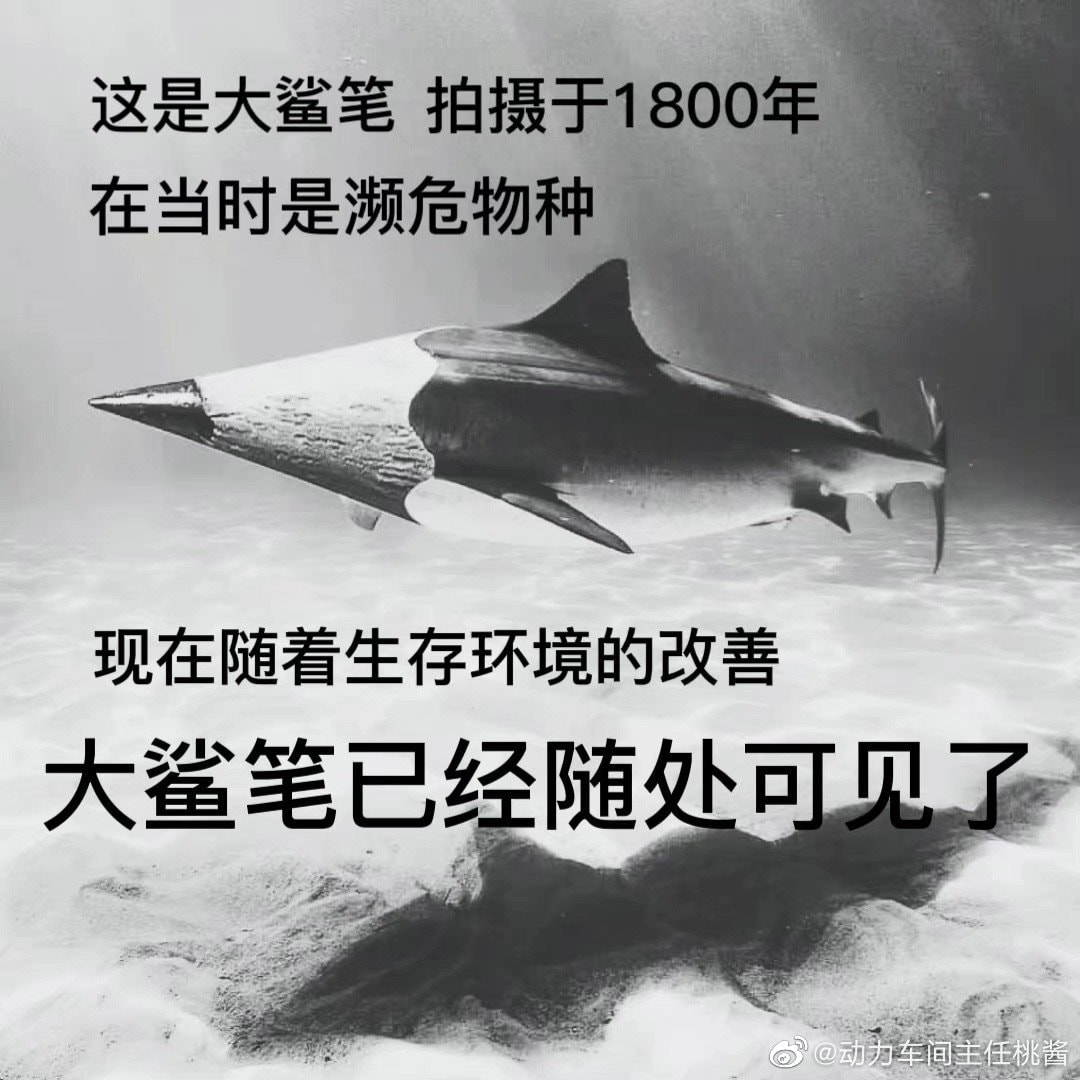 轻松一刻:这个响亮的大逼斗,震动了整个世界 轻松一刻:这个响亮的大逼斗,震动了整个世界