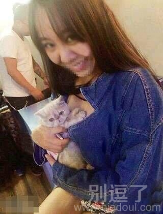 阿喵下来,让我呆会! 阿喵下来,让我呆会!