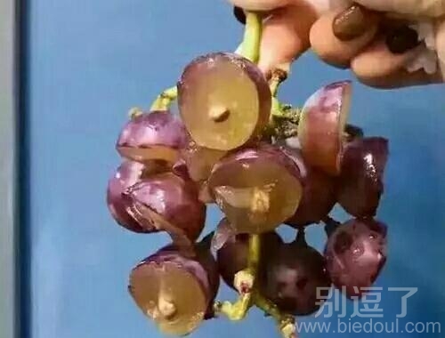 你说我是吃还是不吃 你说我是吃还是不吃