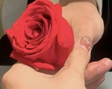 温暖又很舒心的治愈句子 很阳光的好听语录大全