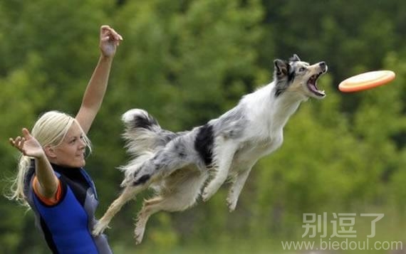 精彩瞬间,去吧! 精彩瞬间,去吧!