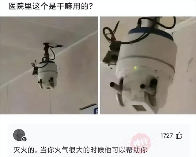 第一次结婚叫“开封”,第二次结婚叫“重庆”,第六次结婚叫什么 第一次结婚叫“开封”,第二次结婚叫“重庆”,第六次结婚叫什么