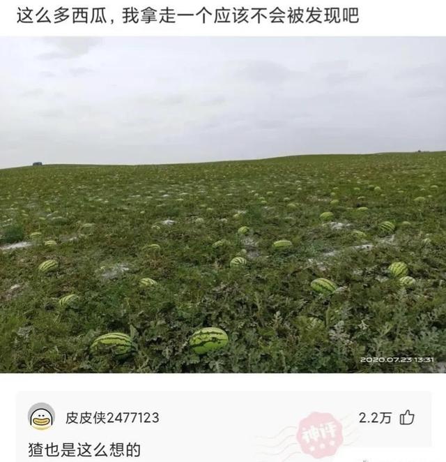 第一次结婚叫“开封”,第二次结婚叫“重庆”,第六次结婚叫什么 第一次结婚叫“开封”,第二次结婚叫“重庆”,第六次结婚叫什么