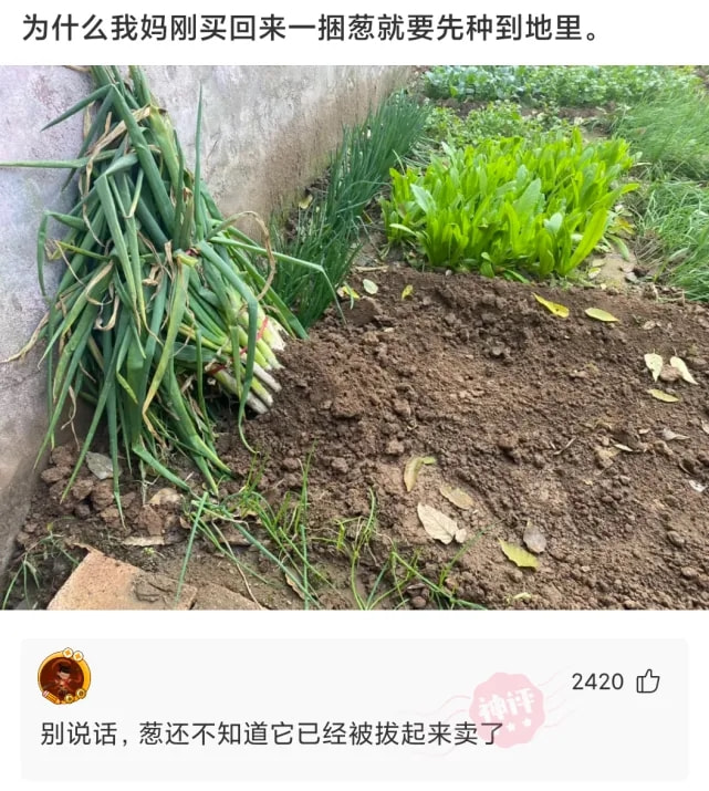 轻松一刻:阿姨今年四十五,还没尝过爱情的苦! 轻松一刻:阿姨今年四十五,还没尝过爱情的苦!