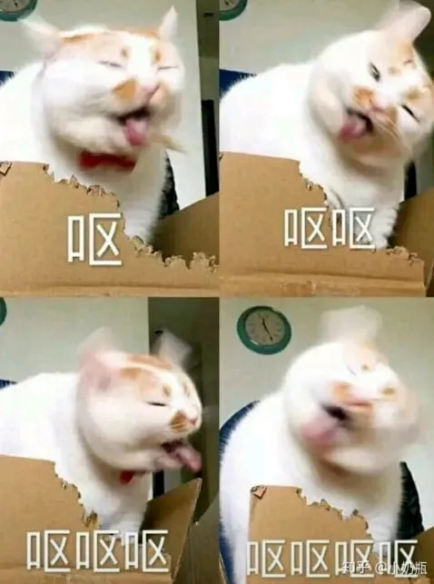 轻松一刻:阿姨今年四十五,还没尝过爱情的苦! 轻松一刻:阿姨今年四十五,还没尝过爱情的苦!
