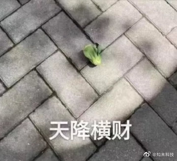 轻松一刻:阿姨今年四十五,还没尝过爱情的苦! 轻松一刻:阿姨今年四十五,还没尝过爱情的苦!