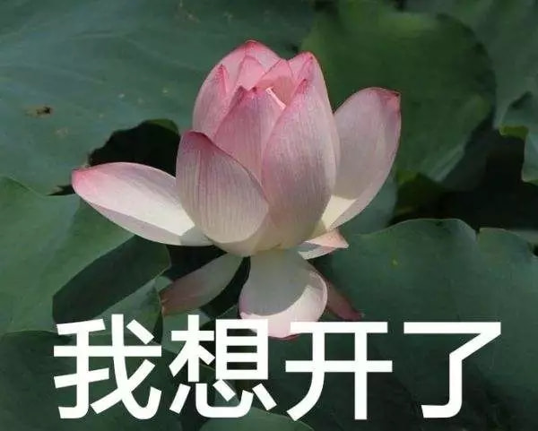 轻松一刻:有这样的老婆,你们每天几点回家? 轻松一刻:有这样的老婆,你们每天几点回家?