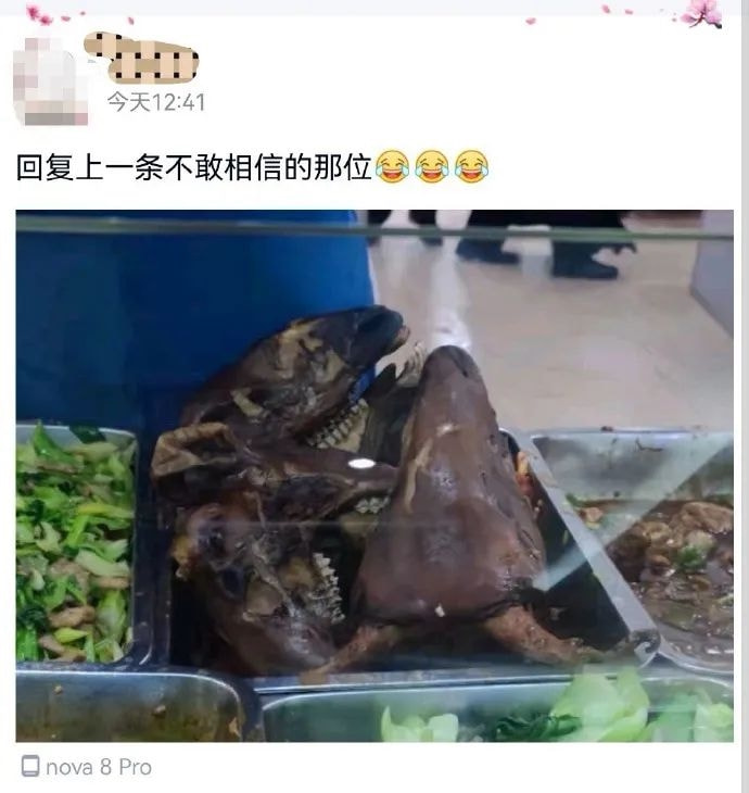 轻松一刻:有这样的老婆,你们每天几点回家? 轻松一刻:有这样的老婆,你们每天几点回家?