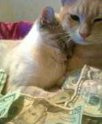 陪好了大爷，这些钱就是你的了