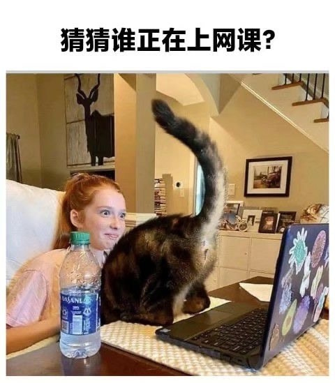 轻松一刻:还是老板玩的花,招"小秘"明码标价! 轻松一刻:还是老板玩的花,招"小秘"明码标价!