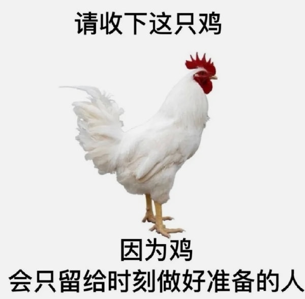 轻松一刻:还是老板玩的花,招"小秘"明码标价! 轻松一刻:还是老板玩的花,招"小秘"明码标价!