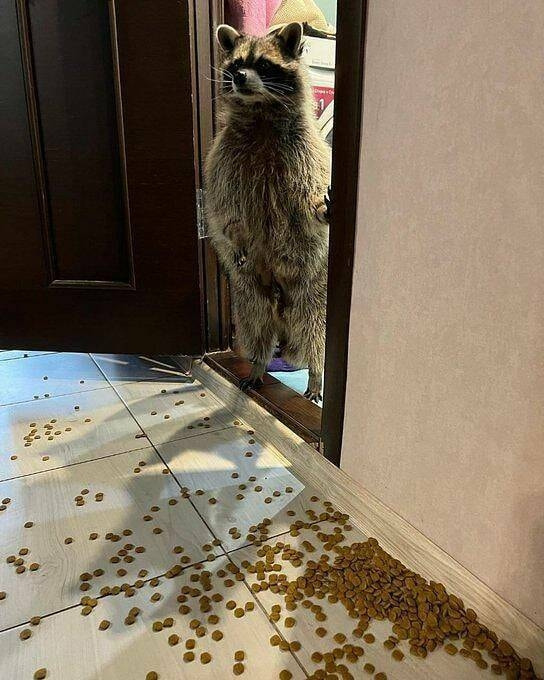 轻松一刻:还是老板玩的花,招"小秘"明码标价! 轻松一刻:还是老板玩的花,招"小秘"明码标价!