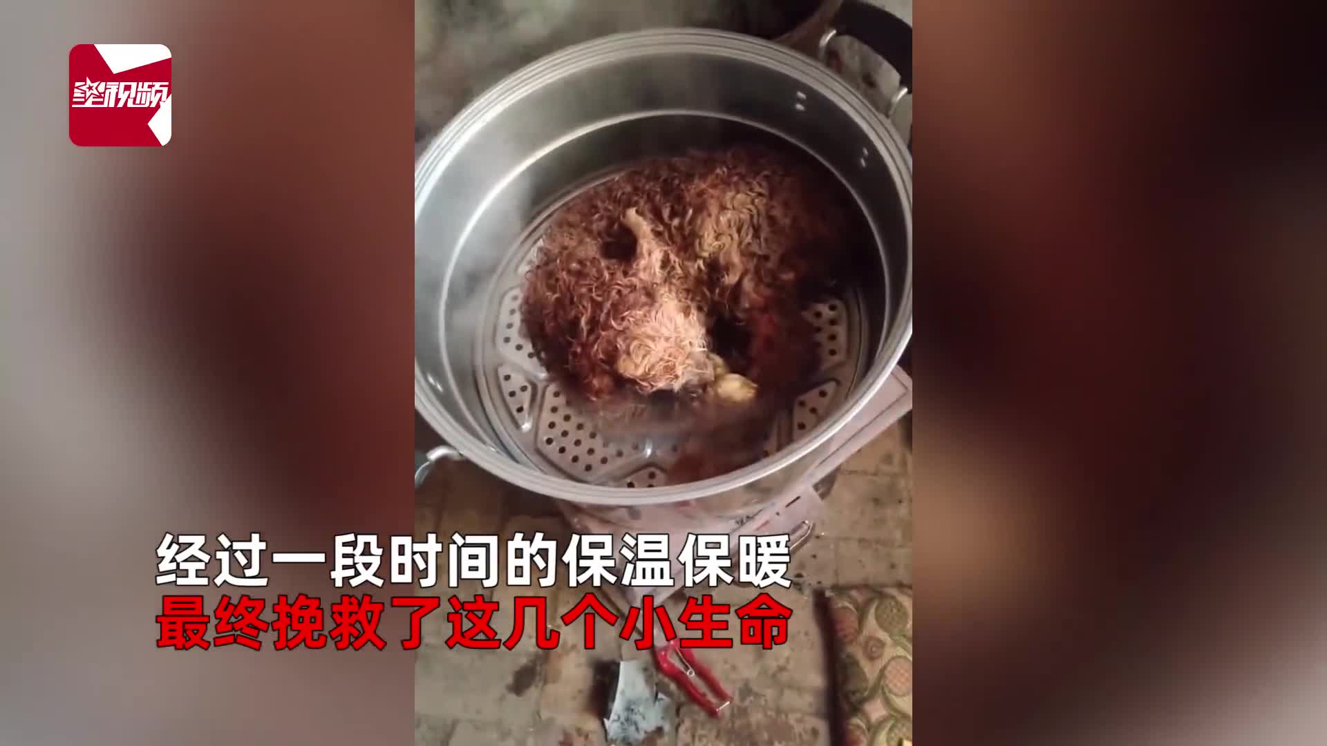 轻松一刻:还是老板玩的花,招"小秘"明码标价! 轻松一刻:还是老板玩的花,招"小秘"明码标价!