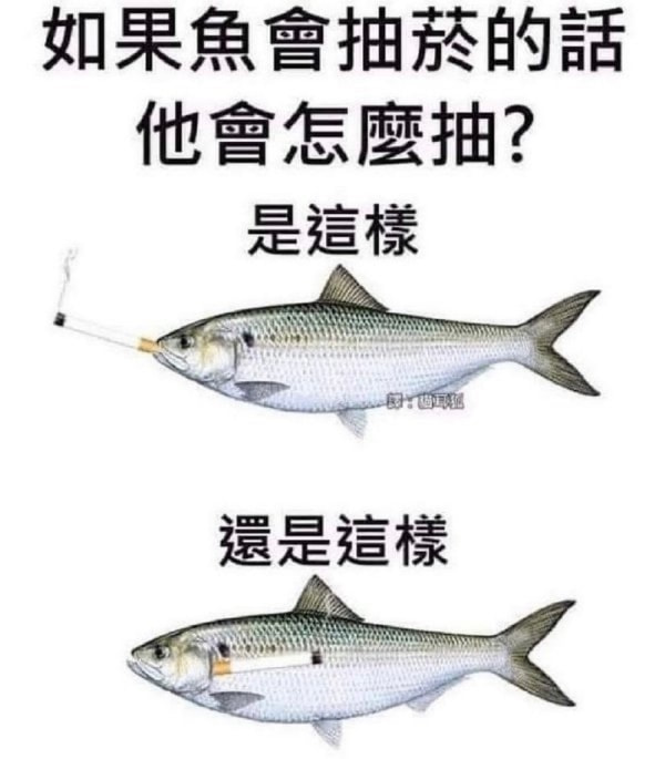 轻松一刻:还是老板玩的花,招"小秘"明码标价! 轻松一刻:还是老板玩的花,招"小秘"明码标价!